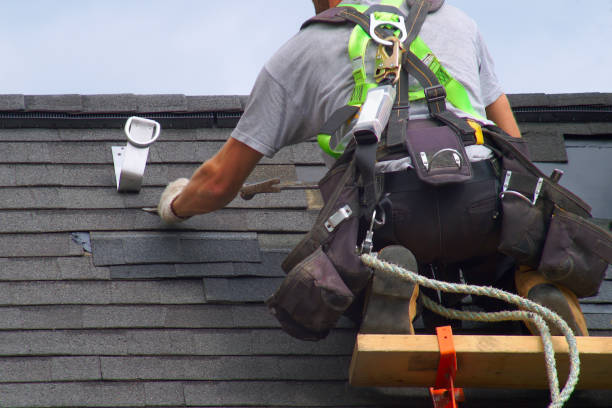 Best Roof Waterproofing Services  in Sheridan, IL
